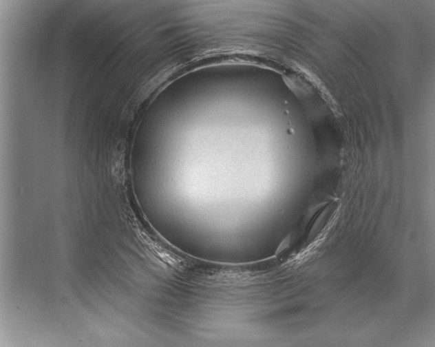 X0000074940977200609221700