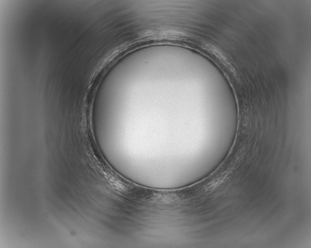 X0000074940978200609221700