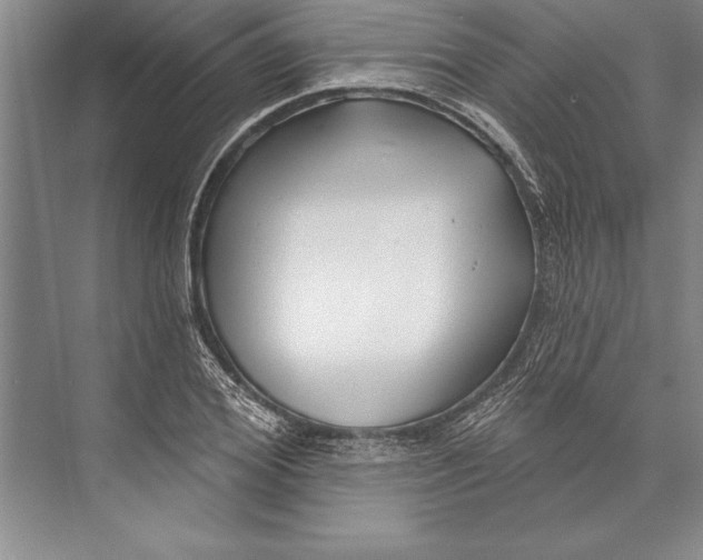 X0000074940980200609221700