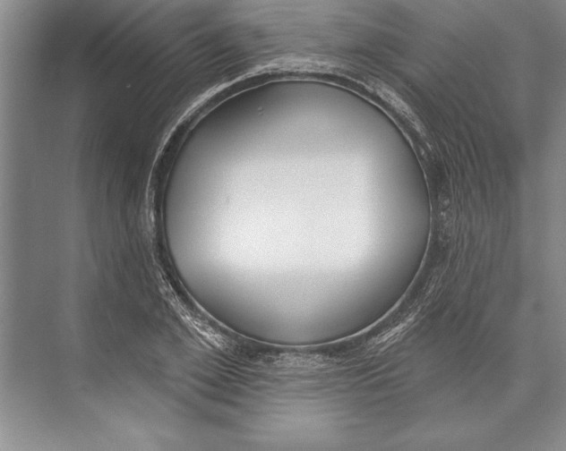 X0000074940981200609221700