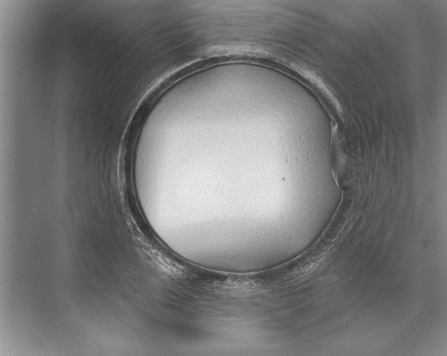 X0000074940983200609221700