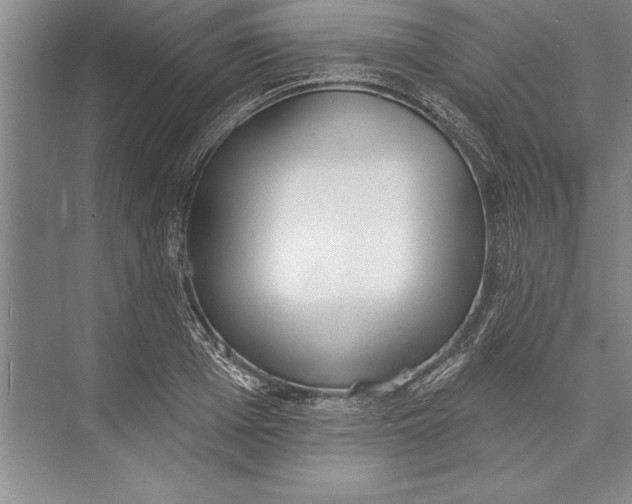 X0000074940985200609221700