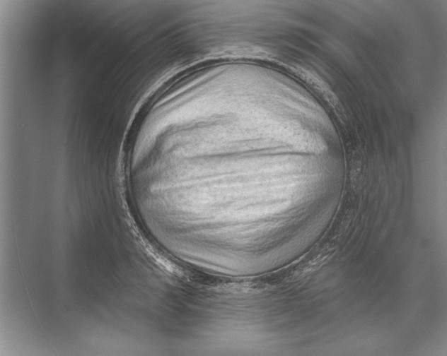 X0000074940990200609221700