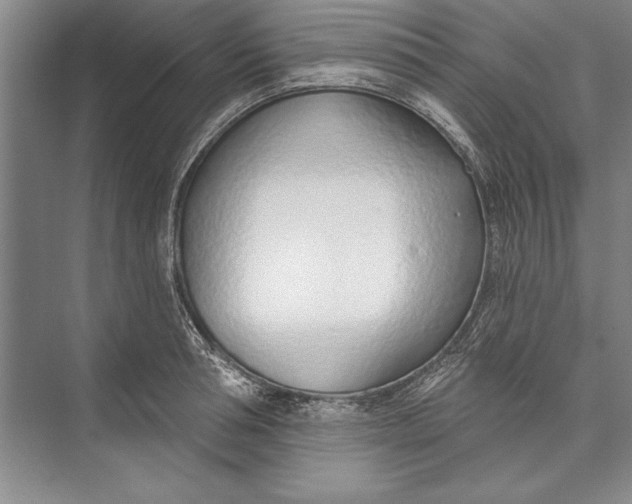 X0000074940994200609221700