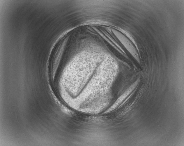 X0000074940995200609221700