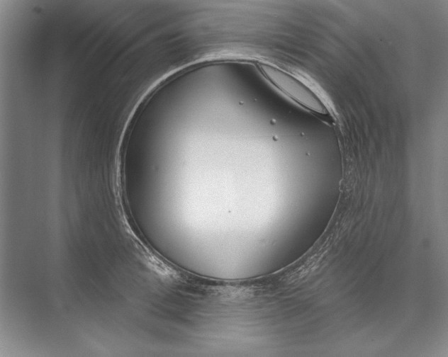 X0000074940996200609221700