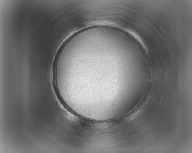 X0000074940999200609221700