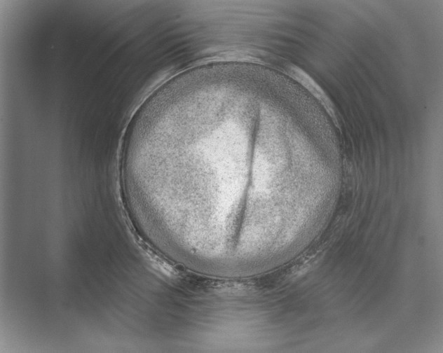 X0000074941002200609221700