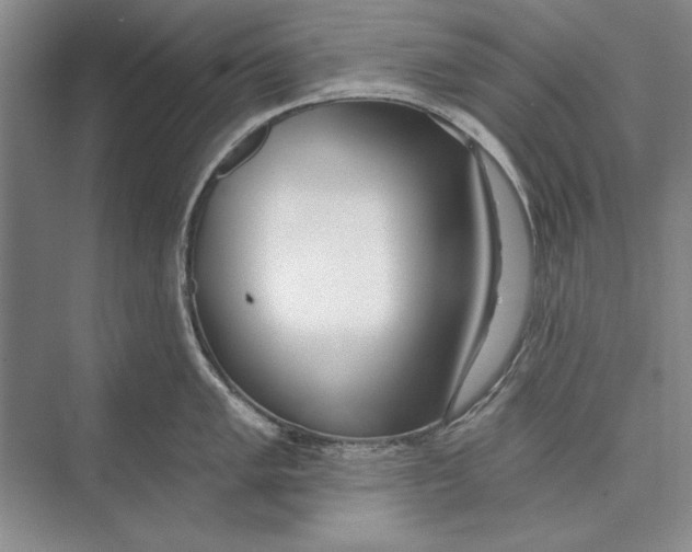 X0000074941005200609221700