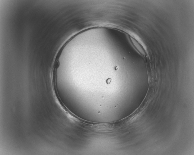 X0000074941007200609221700