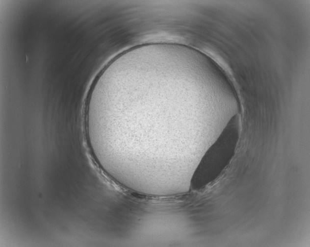 X0000074941008200609221700