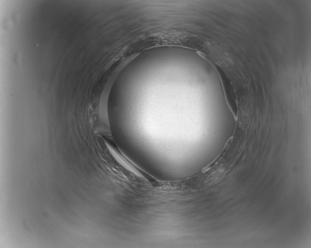 X0000074941010200609221659