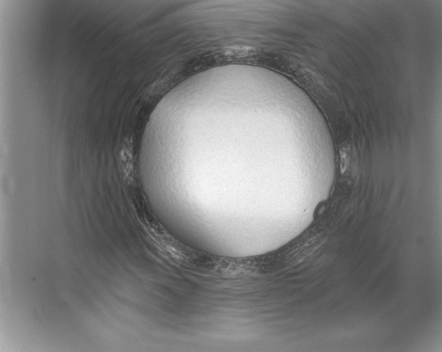 X0000074941011200609221659