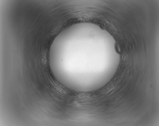 X0000074941012200609221659