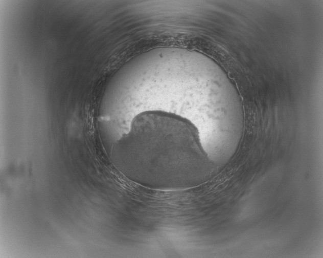 X0000074941013200609221659