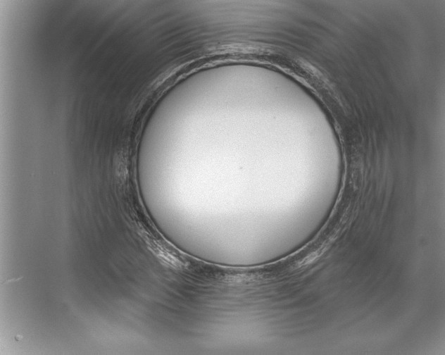 X0000074941017200609221659