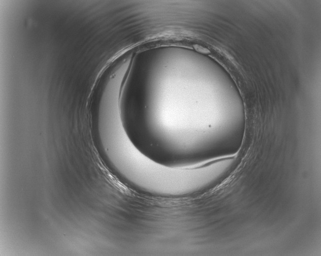 X0000074941018200609221659