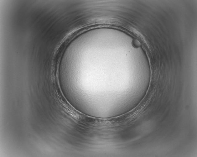 X0000074941019200609221659