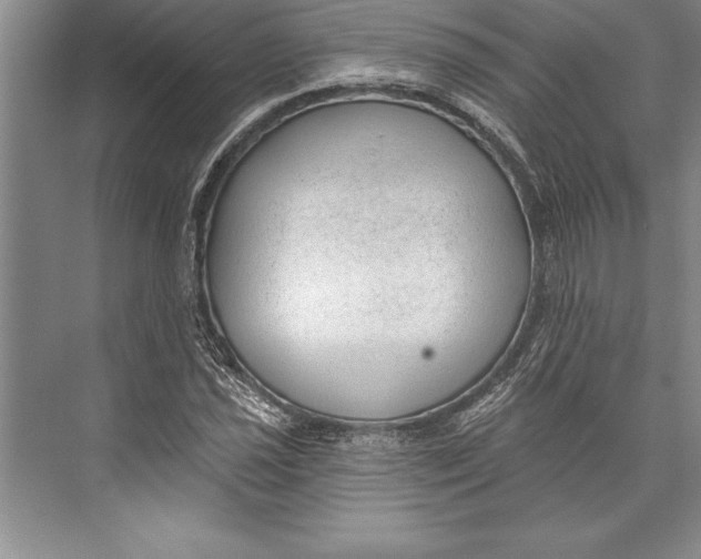 X0000074941021200609221659