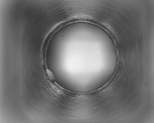 X0000074941022200609221659