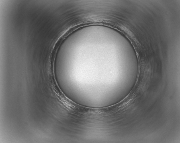 X0000074941023200609221659