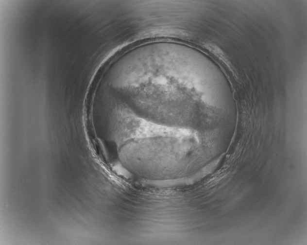 X0000074941024200609221659