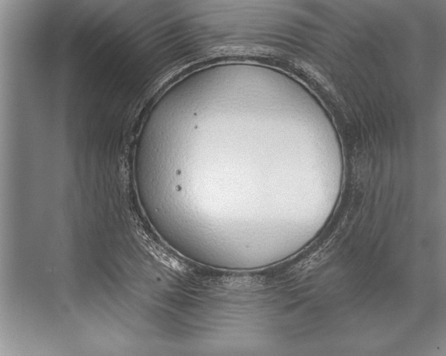 X0000074941025200609221659