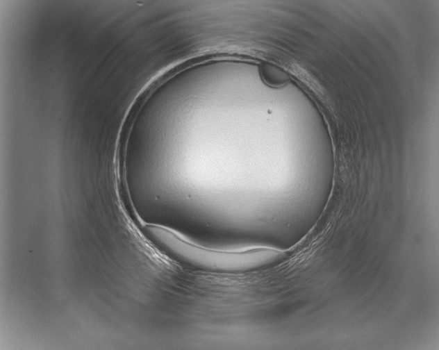 X0000074941028200609221659