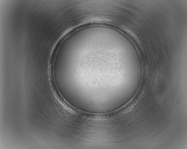 X0000074941029200609221659