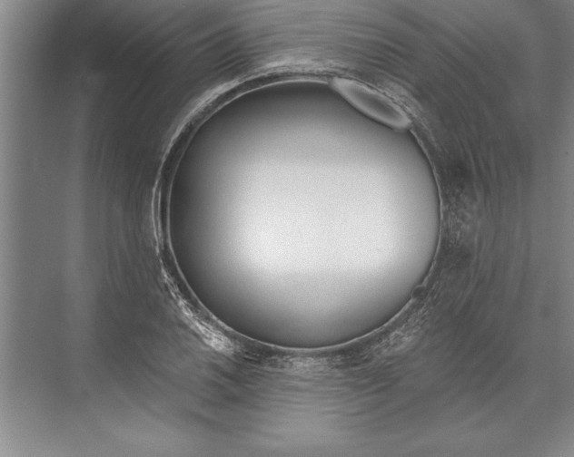 X0000074941030200609221659