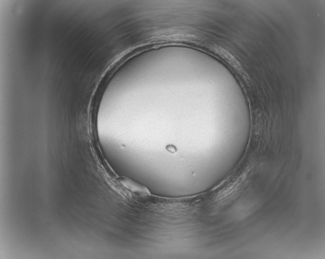 X0000074941031200609221659