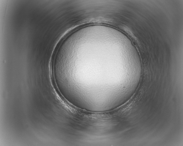 X0000074941032200609221659