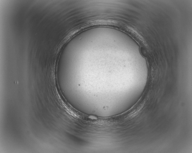 X0000074941033200609221659