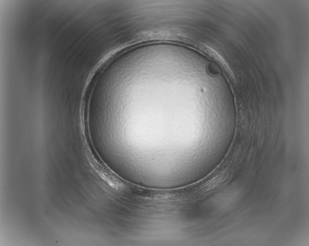 X0000074941035200609221659