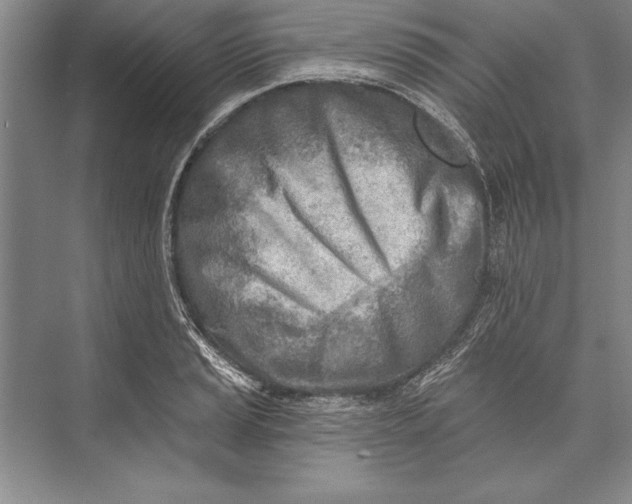 X0000074941037200609221700