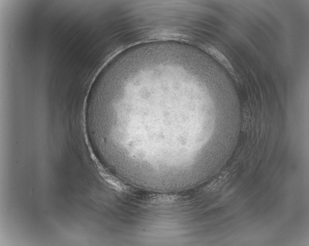 X0000074941039200609221700