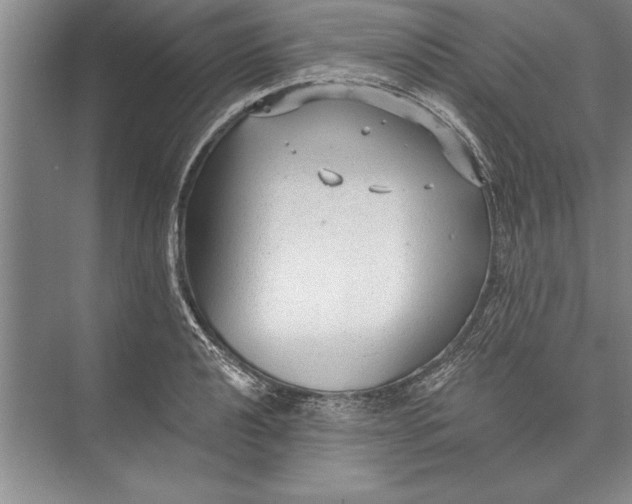 X0000074941040200609221700