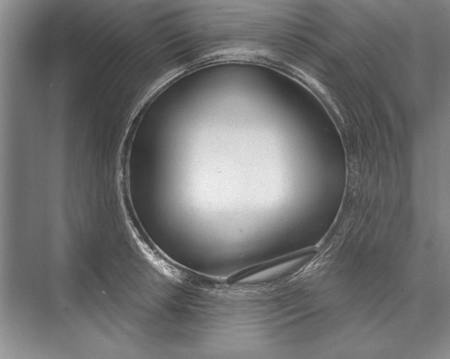 X0000074941042200609221700