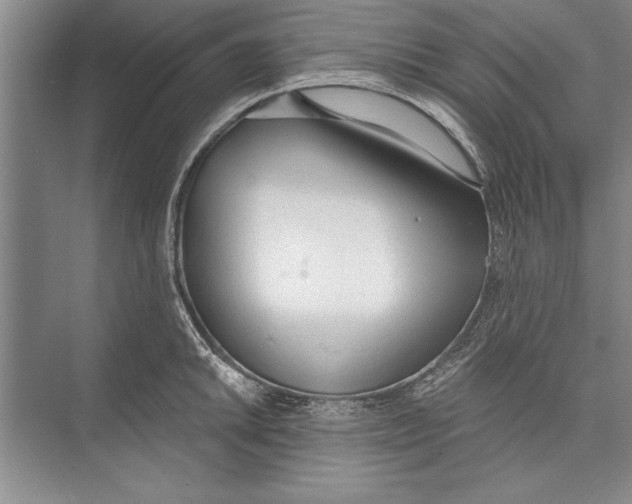 X0000074941046200609221700