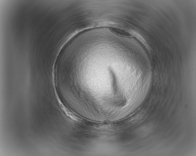 X0000074941047200609221700