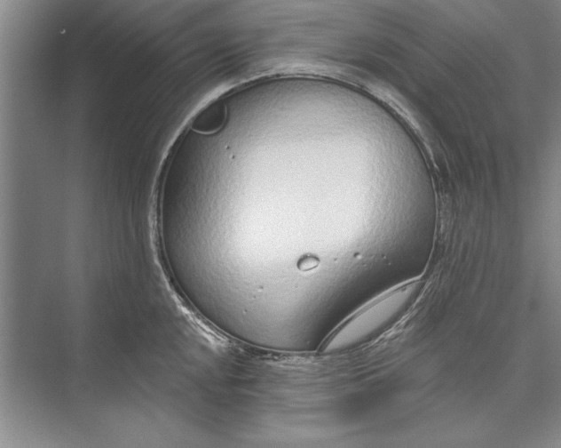 X0000074941048200609221700