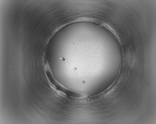 X0000074941049200609221700