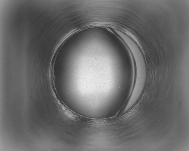 X0000074941050200609221700