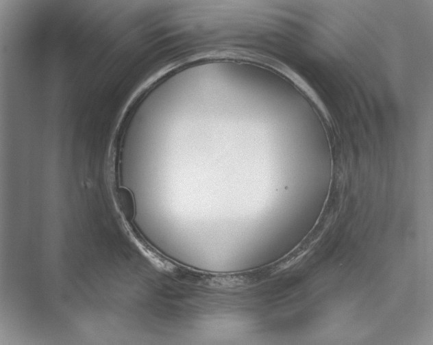 X0000074941053200609221700