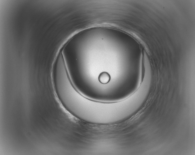 X0000074941054200609221700