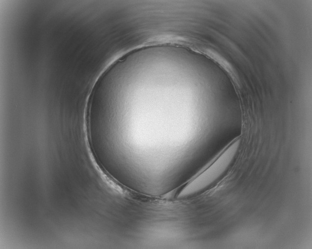 X0000074941055200609221700