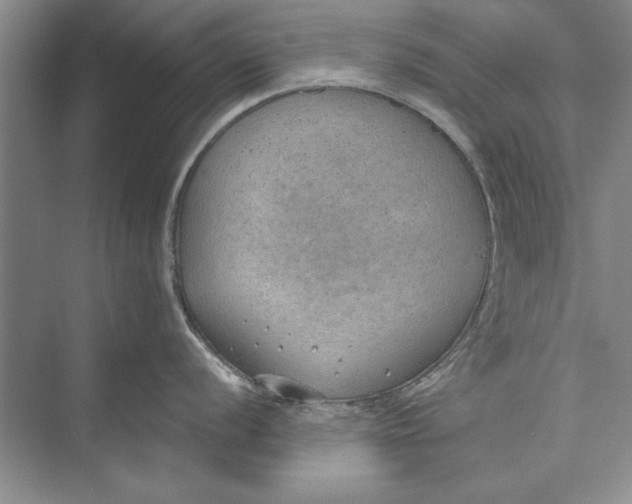 X0000074941056200609221700