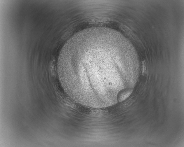 X0000074941059200609221659