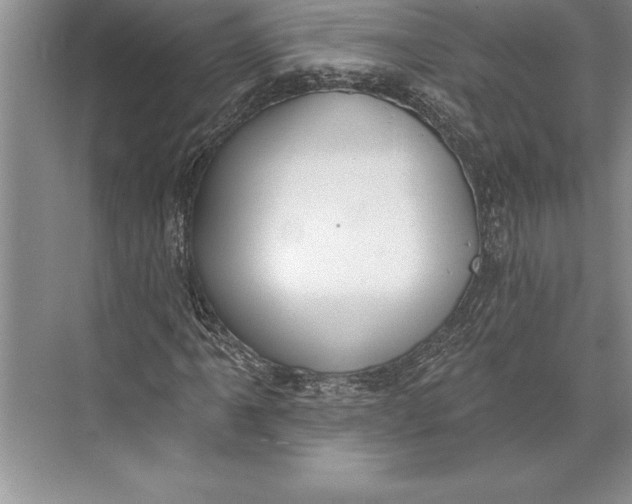 X0000074941061200609221659