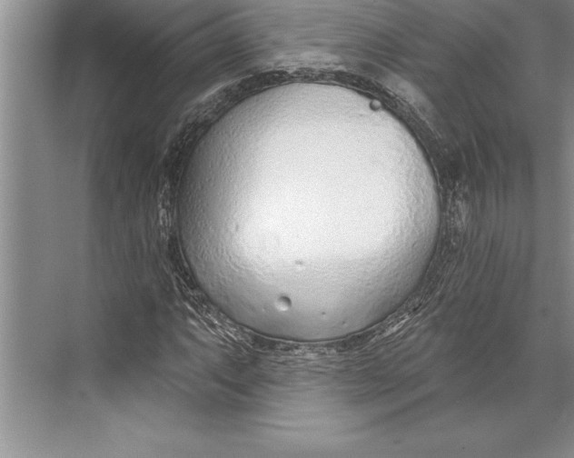 X0000074941063200609221659